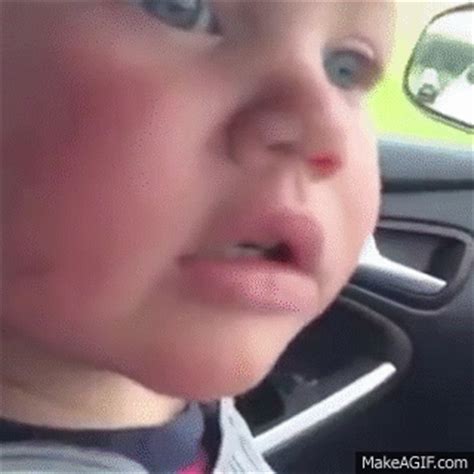 Monkey On The Car Fuck Off Funny Vine On Make A