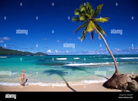 Tourist On The Beach At Las Galeras On The Samana Peninsula Dominican