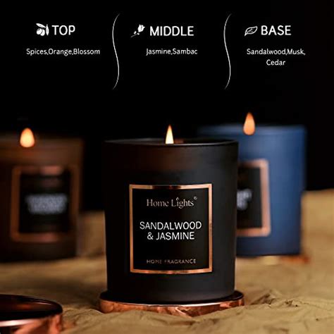 HomeLights Luxury Scented Candle Natural Soy Wax Home Fragrance Decor