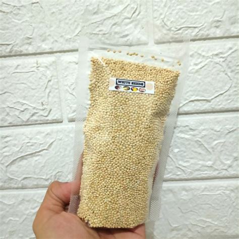 Jual White Seed Milet Millet Pakan Biji Terbaik Untuk Hewan Penyuka