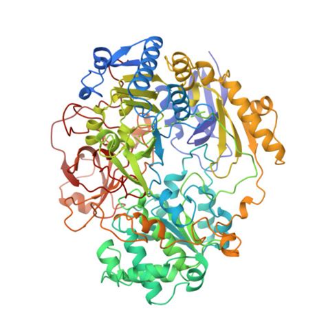 RCSB PDB 1DMS STRUCTURE OF DMSO REDUCTASE