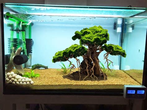 Aquarium Treibholz Baum F R Fische Tank Dekoration Bonsai Etsy