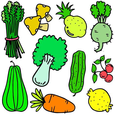 Hand Draw Doodle Vegetable Set Stock Vector Illustration Of White