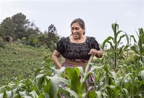 Agricultura En Níger Descubre La Agricultura Sostenible En Níger