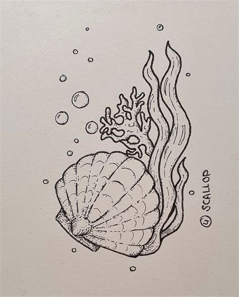 Inktober Day Scallop Sea Drawing Ocean Drawing Doodle Art