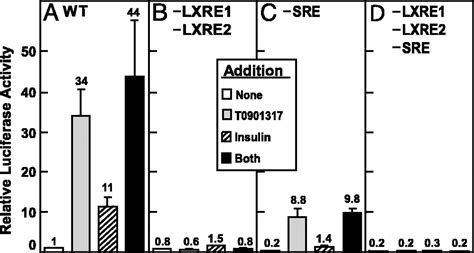 Central Role For Liver X Receptor In Insulin Mediated Activation Of