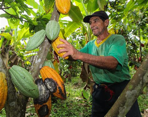 Presentan informe sobre economía circular en América Latina y el Caribe una visión compartida