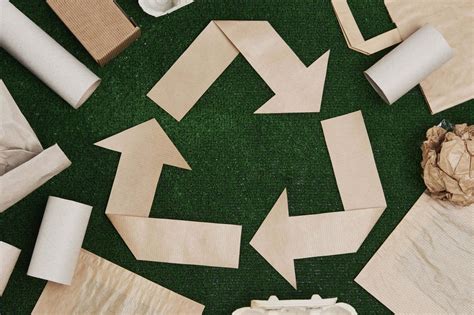 Características Del Papel Ecológico Y Cómo Se Fabrica Distribución De