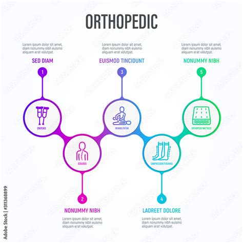 Orthopedic Infographics In Circles With Thin Line Icons And Place For