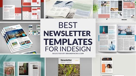 Best Newsletter Templates For Indesign Brandpacks