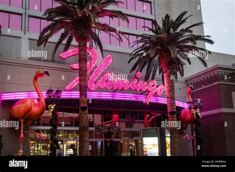 Las vegas flamingo hotel casino - ndestory