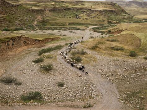 Nomads in Iran | Pulitzer Center