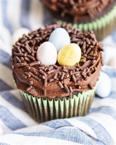 Chocolate Cupcakes With Sprinkles