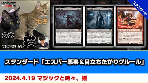 【mtg】スタンダード「エスパー悪事＆目立ちたがりグルール」 Bigs 斉田逸寛「マジックと時々、猫」（2024年4月23日放送