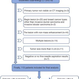 Flowchart Of The Enrolled Patients CT Computed Tomography ALN