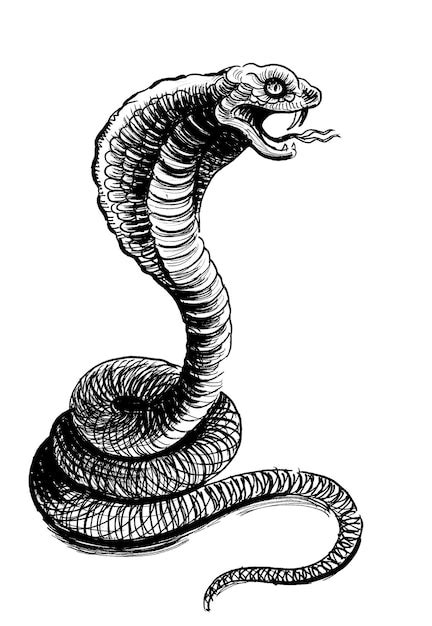 Злая кобра змея чернила черно-белый рисунок | Премиум Фото