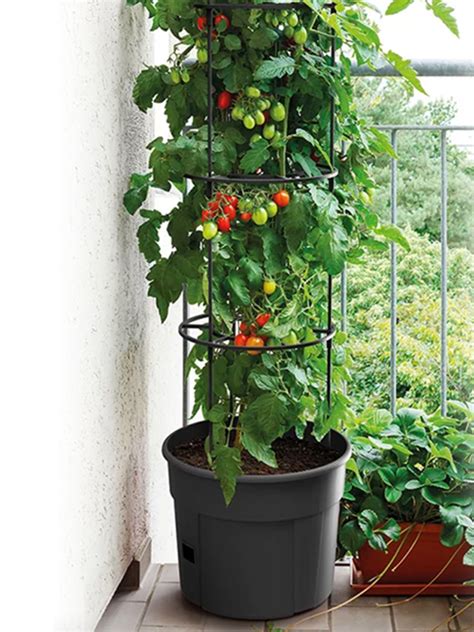 Oderings | Pots | The Gardener Veggie Vine Tower (Tomato Tower) 28L