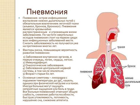 Какие симптомы при пневмонии у взрослых и детей: признаки воспаления ...