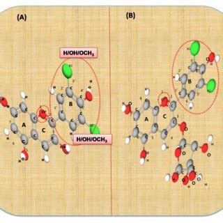 | The basic structure of anthocyanidin (A) and anthocyanin-3-glucoside ...