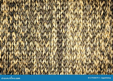 Камышовая циновка стоковое изображение. изображение насчитывающей ...
