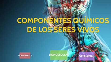 COMPONENTES QUÍMICOS DE LOS SERES VIVOS by Alejandra Sierra Niño on Prezi