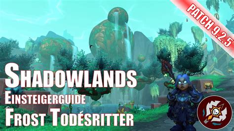 Frost Todesritter Einsteigerguide Shadowlands World Of Warcraft Patch 9