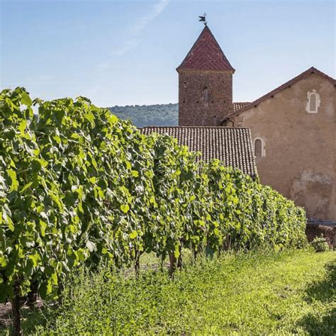 Vente Priv E Vins Du Sud Ouest Vinomimosas