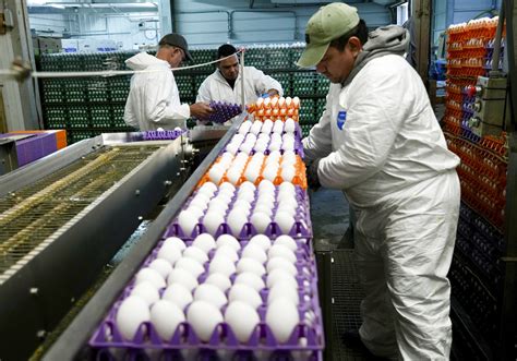 Bay Area Grocery Stores Limit Egg Purchases Amid Shortage