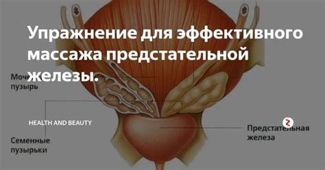 Упражнение для эффективного массажа предстательной железы. | Упражнения ...