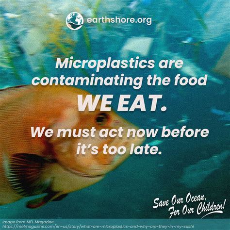 Microplastics: Understanding Their Impact on Health and the Environment