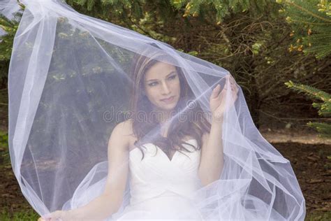 Ragazza Di Latina Con Il Velo Bianco Fotografia Stock Immagine Di Sognatore Nave