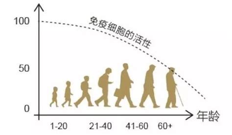 【細胞儲存】成人免疫細胞儲存的意義 壹讀