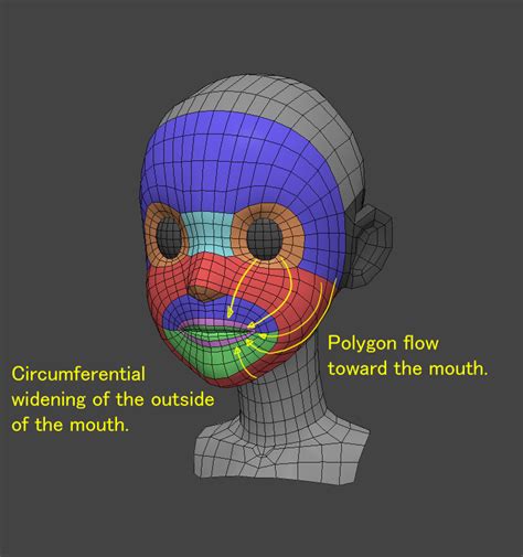 4 Categories of Face Topology in Anime 3D Model