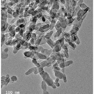 Transmission electron microscopic image of nano calcium-deficient ... 