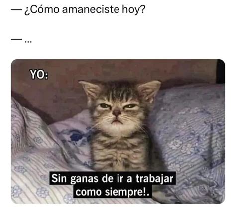 Cómo amaneciste hoy Yo Sin ganas de ir a trabajar como siempre Memes