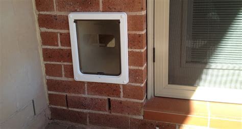 Dogcat Flap Installation Cost 2025 How Much To Fit A Pet Flap