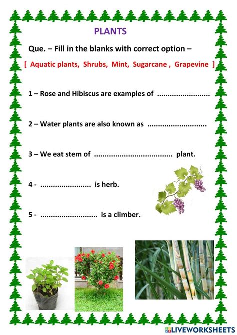 886148 Plants Bina1962 Liveworksheets