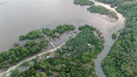 Tempat Wisata Di Gresik Untuk Anak Dan Keluarga Yang Murah Dan Lagi