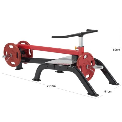 Plate Load Standing T Bar Row Plstr Br De Steelflex Pas Cher