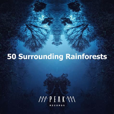 50 Surrounding Rainforests Album By The Rainforest Collective Spotify