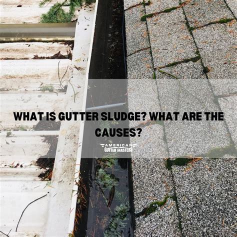 What Is Gutter Sludge What Are The Causes Americanguttermasters