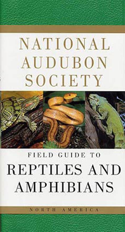 Field Guide To Reptiles And Amphibians National Audubon Society