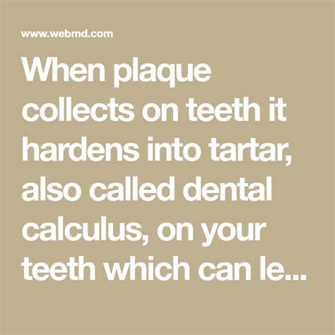 When Plaque Collects On Teeth It Hardens Into Tartar Also Called