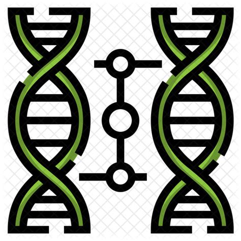 Cloning Dna Icon Download In Colored Outline Style