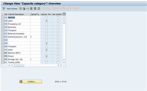 OP32 SAP Tcode Maintain Capacity Category Transaction Code