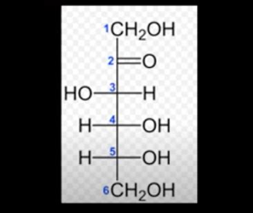 Biochem Carbohydrates Flashcards Quizlet