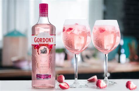 ERFRISCHENDE DRINKREZEPTE VON GORDON'S PINK GIN | Pink gin cocktails ...