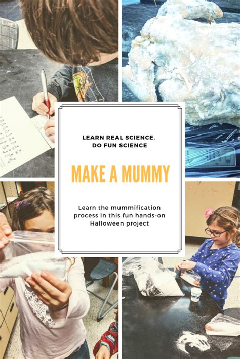 How to make a mummy: Discover the mummification process