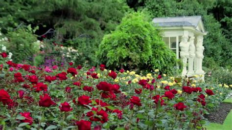 The Queen's Garden: An Exhibition of British History--The Rose Garden ...