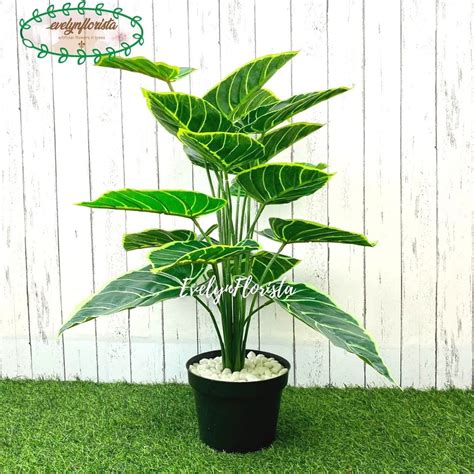 Jual Pohon Hias Daun Alocasia X18 Latex Artificial Pot Dasar Hitam